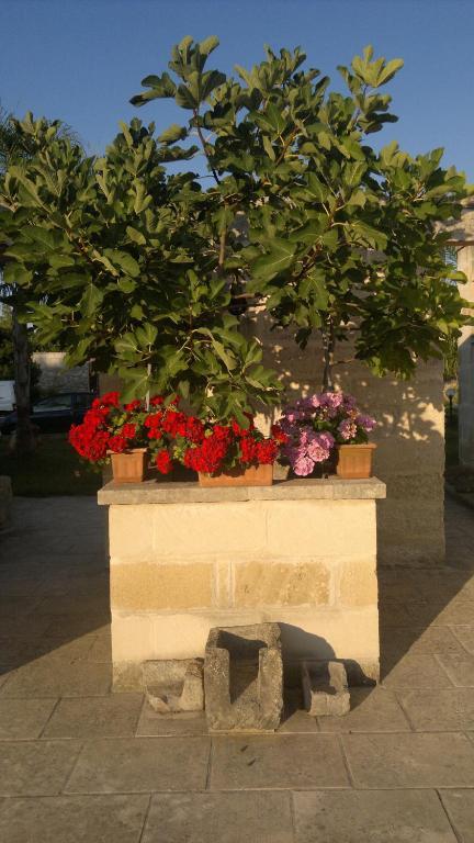 Masseria Grande Otel Torre dell'Orso Dış mekan fotoğraf