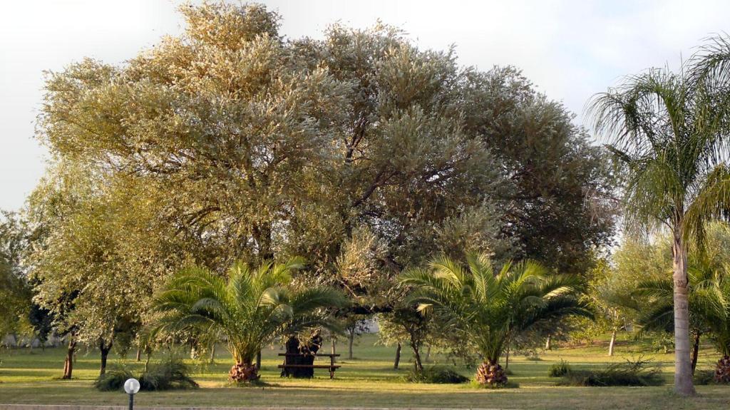 Masseria Grande Otel Torre dell'Orso Dış mekan fotoğraf